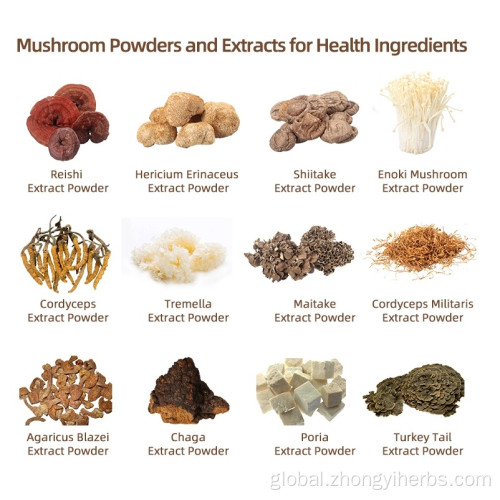 Hericium Erinaceus Mushroom Extract Hericium Erinaceus Extract 50%Polysaccharide Manufactory